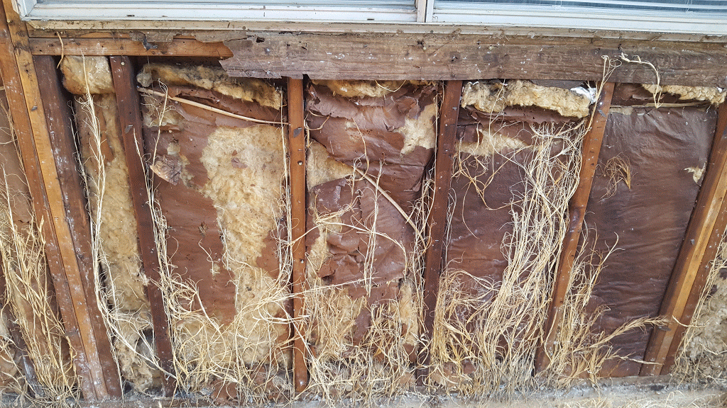 Dry rot repair work by PG Construction